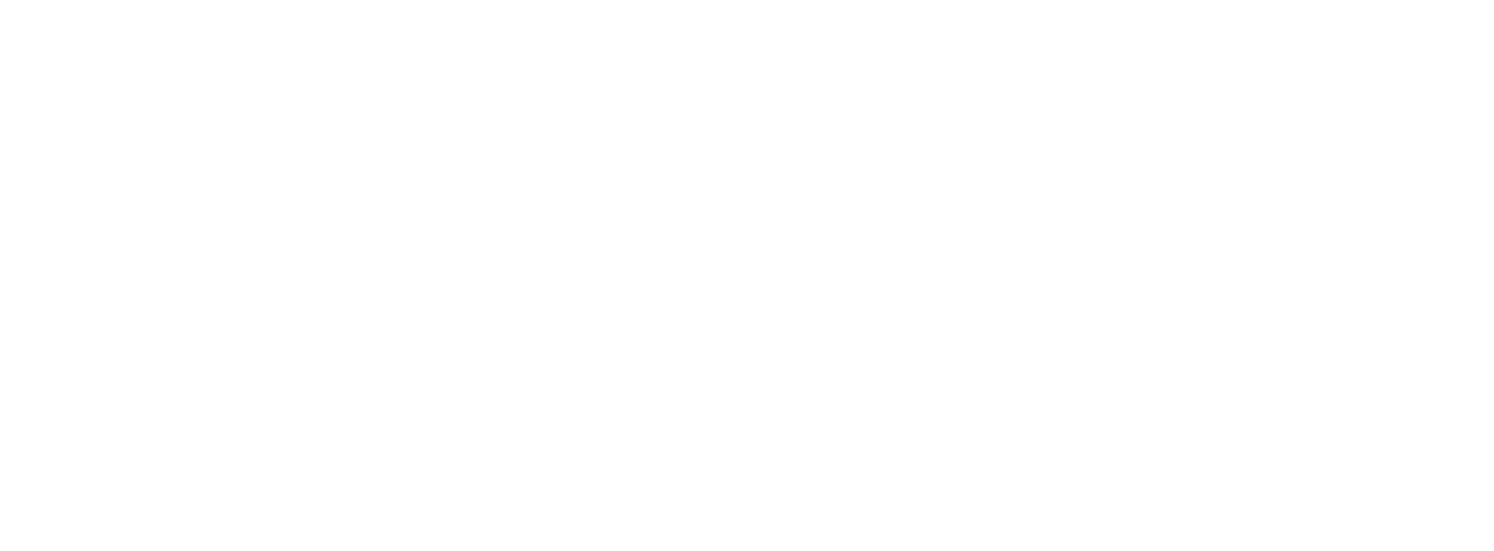 Sturel IA